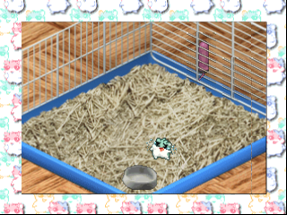 Hamster Monogatari 64 Image