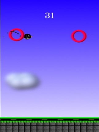 Tiny Circles Image