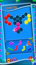 Hexa Block: Blast Mania Image