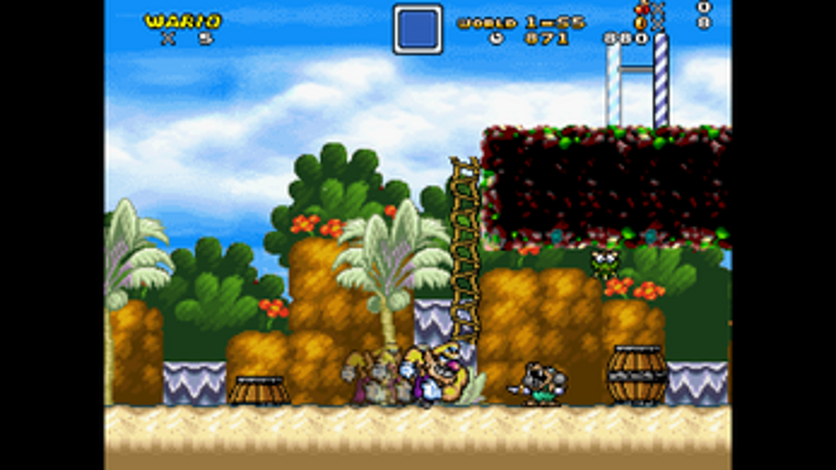 Mushroom Kingdom Fusion Image