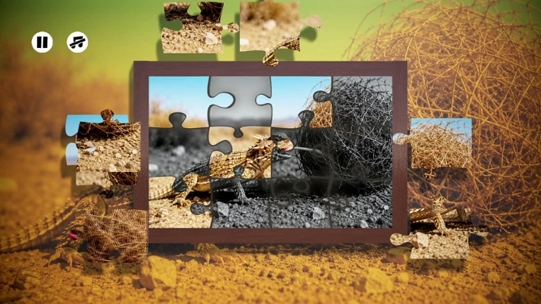 Puzzles Lizards Image