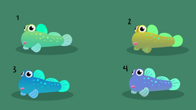 Skippy's Little Adventure Image