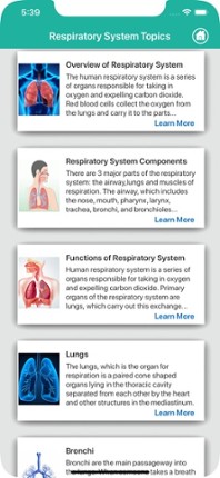 Anatomy : Respiratory System Image