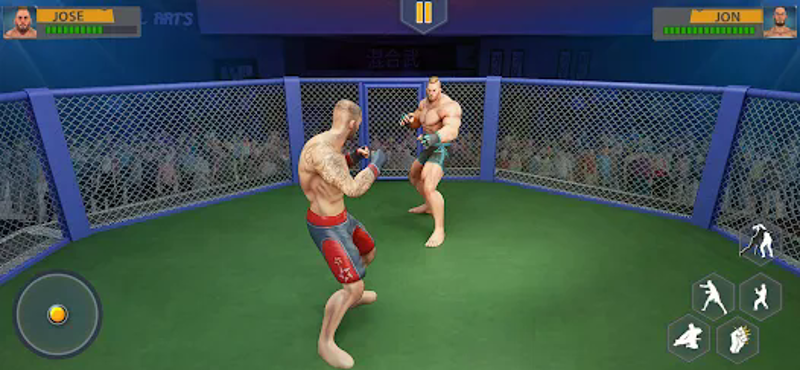 Martial Arts: Combat Fighting Image