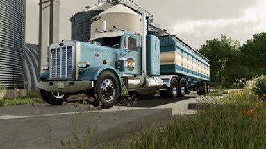 Peterbilt 359 Image