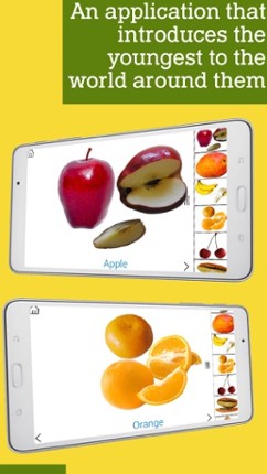 Montessori Fruits, let's learn fruits the easy way screenshot