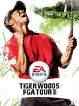 Tiger Woods PGA Tour Image