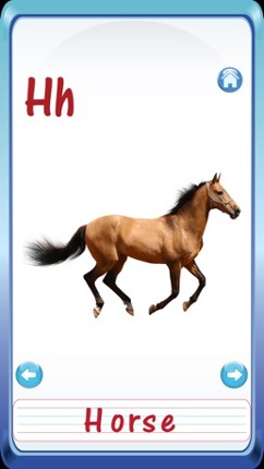 Kids safari jungle wild animals zoo &amp; birds flashcards for preschool kindergarten baby screenshot