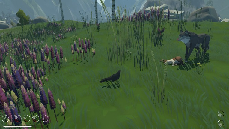 Migration screenshot