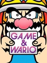 Game & Wario Image