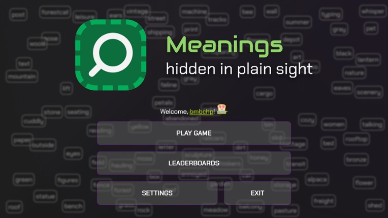 Meanings hidden in plain sight screenshot