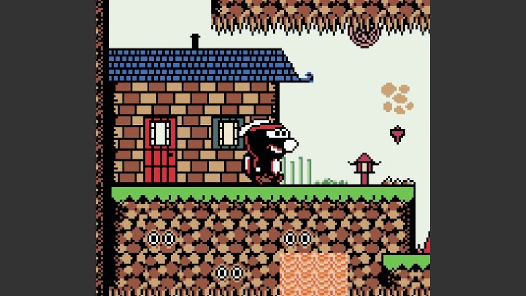 Rabidja's Revenge screenshot