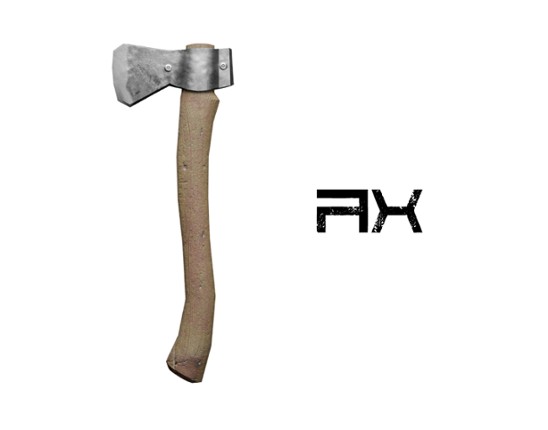 Ax Image