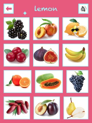 Find+Learn Image
