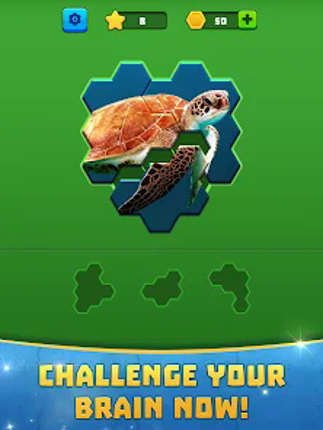 Hex Block Jigsaw Puzzle screenshot