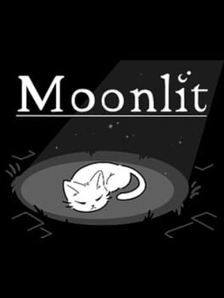 Moonlit Image