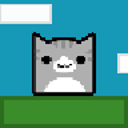 Paws and Platfroms : the endless Image