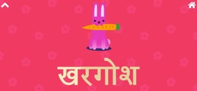 RBhasha Hindi Image