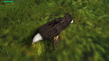 Eagle Hunting Journey Image