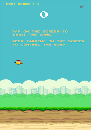 Birdy bird - Game Original screenshot