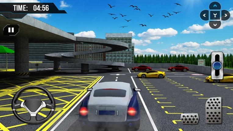 Multi-Level Supermarket Valet Car Parking 3D Sim screenshot