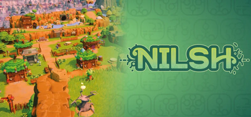 NILSH Image