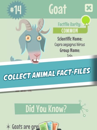 Quiz Owl's - Animal Trivia screenshot