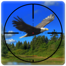 Wild Bird Hunter America Image