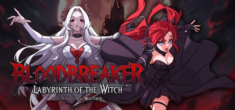 Games like Bloodbreaker: Labyrinth of the Witch
