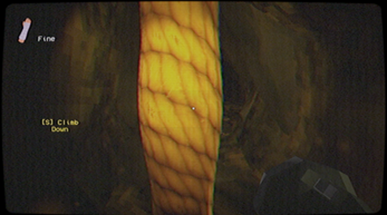 Descent Image