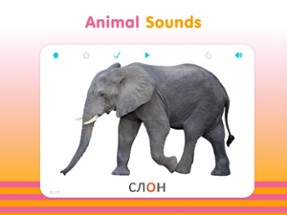 Flashcards for Kids in Russian Image