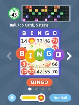 Bingo Mania - Light Bingo Game screenshot