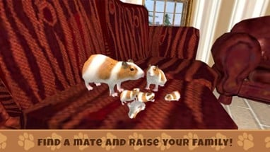 Guinea Pig Simulator Game Image