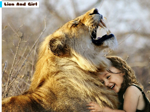 Games like Lion And Girl Jigsaw