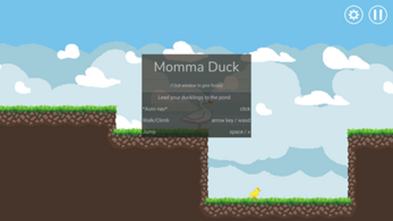 Momma Duck Image