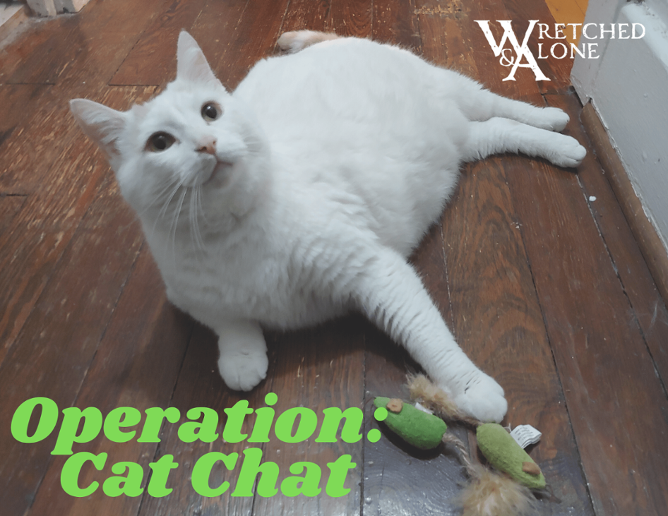 Games like Operation: Cat Chat