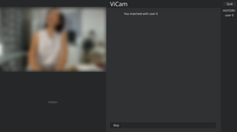 ViCam Image