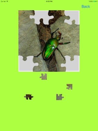 Rhinoceros Beetle Jigsaw Puzzle screenshot