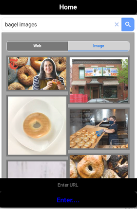 Bagel Browse Early Access (Pre-Alpha) screenshot