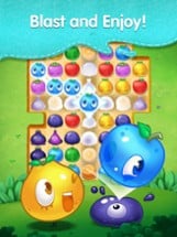 Fruit Splash Mania Image