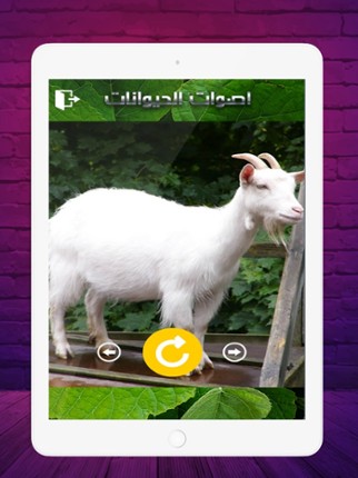 2020 اصوات الحيوانات screenshot