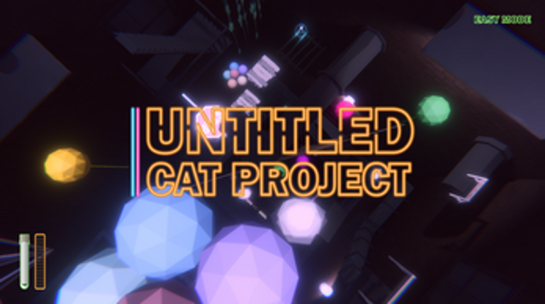 Untitled Cat Project Image