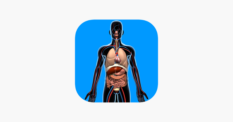 Human Anatomy Quizzes Game Cover