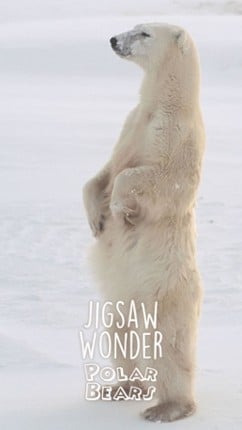Jigsaw Wonder Polar Bear Puzzles for Kids Free Image