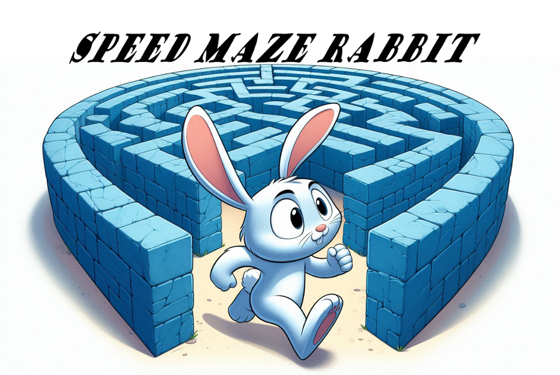 Games like Speed Maze Rabbit
