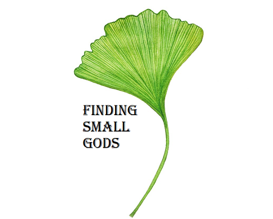 Finding Small Gods Image