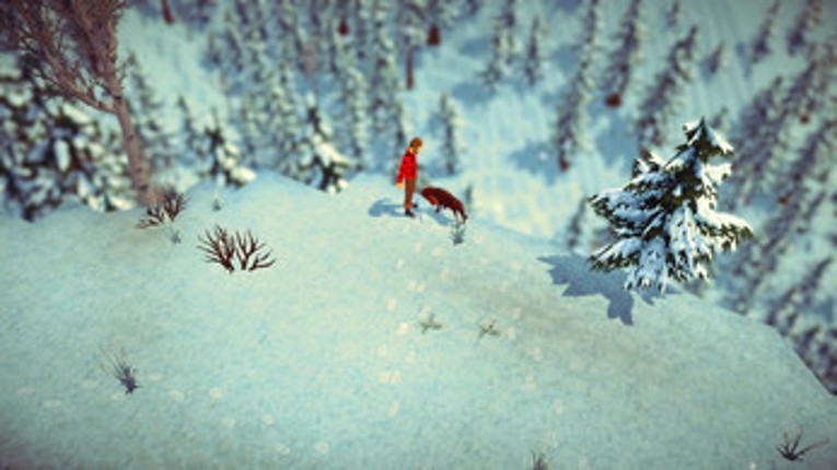 Bark Souls screenshot