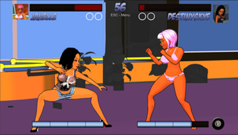 Sexy Girls Fight Club screenshot