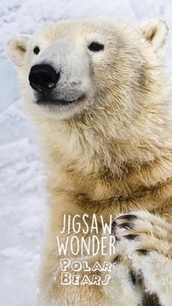 Jigsaw Wonder Polar Bear Puzzles for Kids Free screenshot