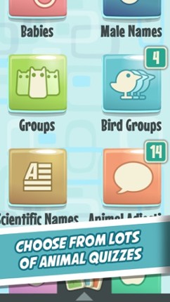 Quiz Owl's - Animal Trivia screenshot